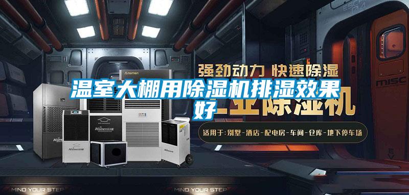 温室大棚用草莓视频APP在线观看排湿效果好