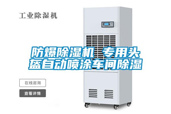 防爆草莓视频APP在线观看 专用头盔自动喷涂车间除湿