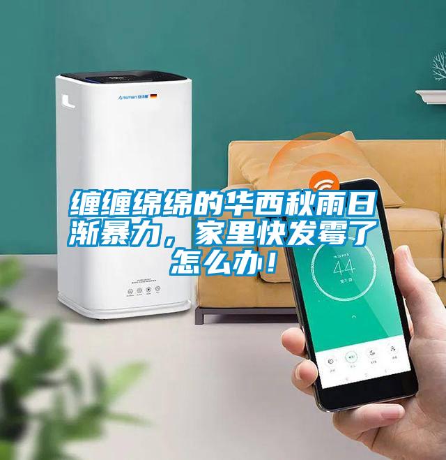 缠缠绵绵的华西秋雨日渐暴力，家里快发霉了怎么办！