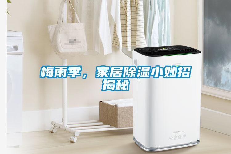 梅雨季，家居除湿小妙招揭秘