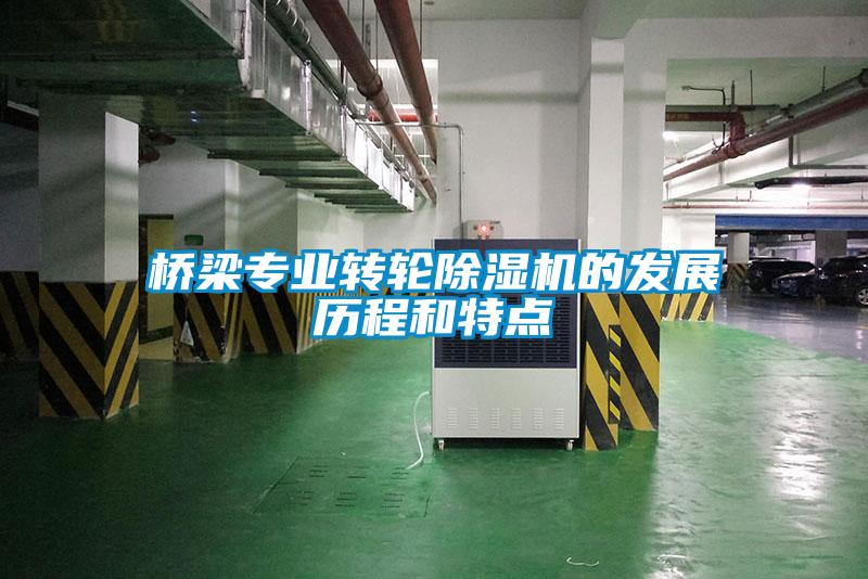 桥梁专业转轮草莓视频APP在线观看的发展历程和特点