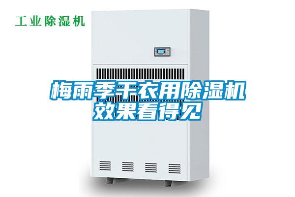 梅雨季干衣用草莓视频APP在线观看效果看得见