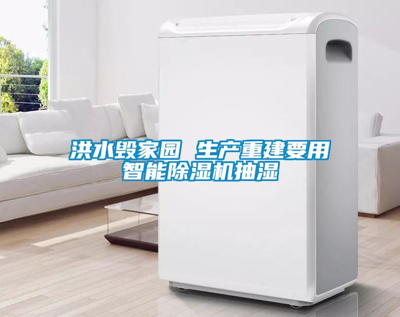 洪水毁家园 生产重建要用智能草莓视频APP在线观看抽湿