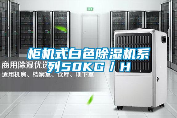 柜机式白色草莓视频APP在线观看系列50KG／H