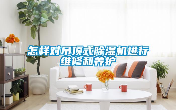 怎样对吊顶式草莓视频APP在线观看进行维修和养护
