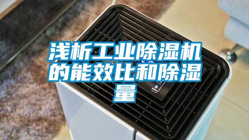 浅析工业草莓视频APP在线观看的能效比和除湿量