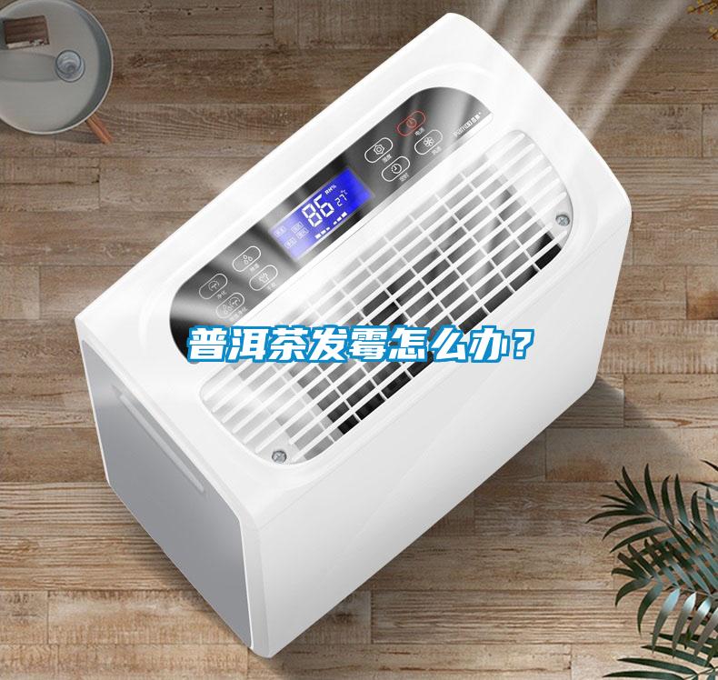 普洱茶发霉怎么办？
