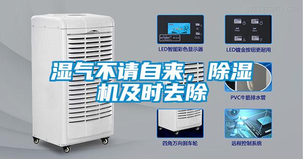 湿气不请自来，草莓视频APP在线观看及时去除
