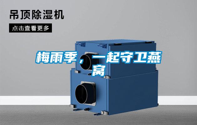 梅雨季，一起守卫燕窝