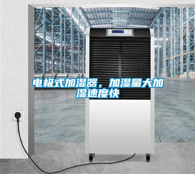 电极式加湿器，加湿量大加湿速度快