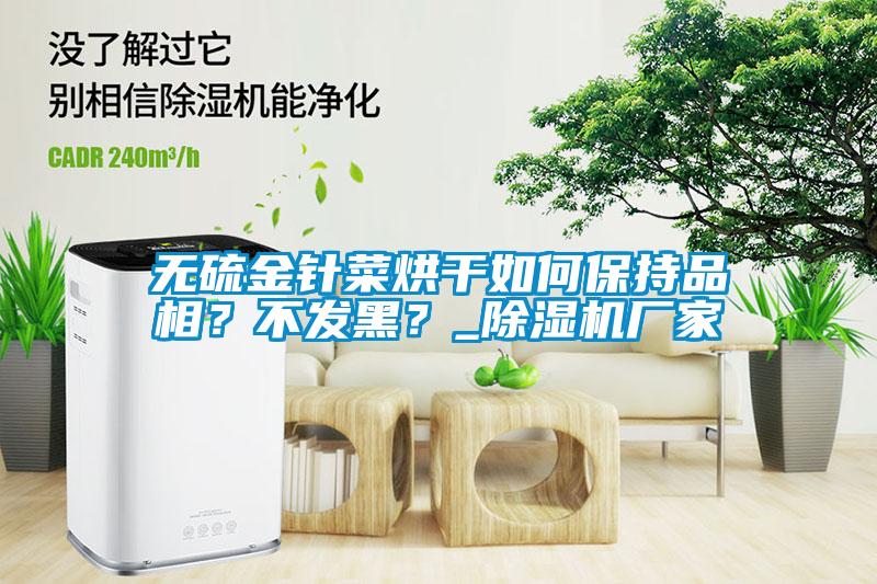 无硫金针菜烘干如何保持品相？不发黑？_草莓视频APP在线观看厂家