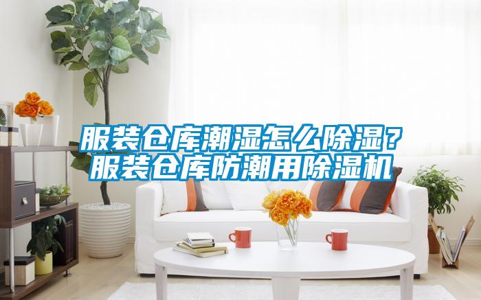 服装仓库潮湿怎么除湿？服装仓库防潮用草莓视频APP在线观看