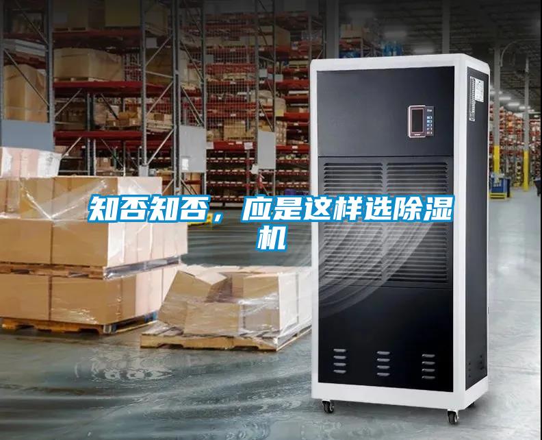 知否知否，应是这样选草莓视频APP在线观看