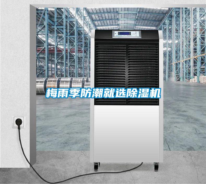 梅雨季防潮就选草莓视频APP在线观看