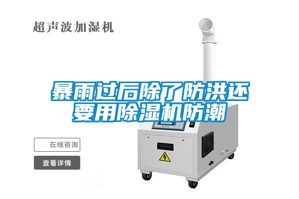 暴雨过后除了防洪还要用草莓视频APP在线观看防潮