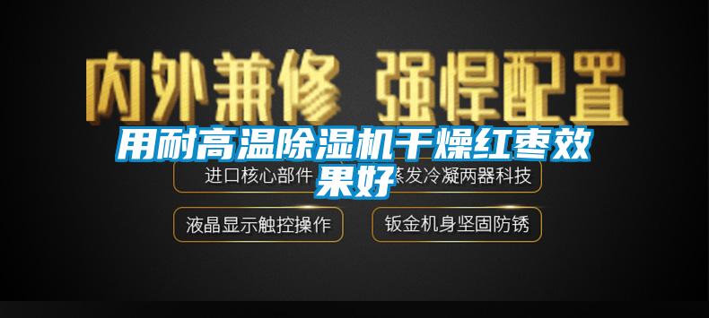 用耐高温草莓视频APP在线观看干燥红枣效果好