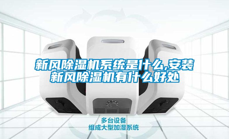 新风草莓视频APP在线观看系统是什么,安装新风草莓视频APP在线观看有什么好处