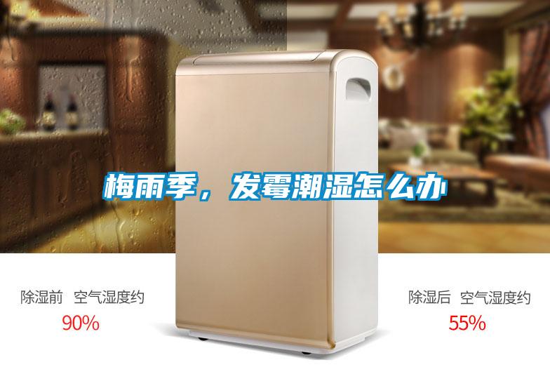 梅雨季，发霉潮湿怎么办