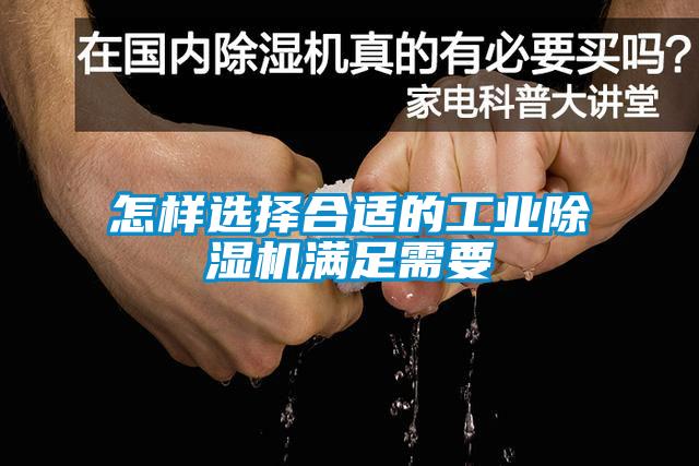 怎样选择合适的工业草莓视频APP在线观看满足需要