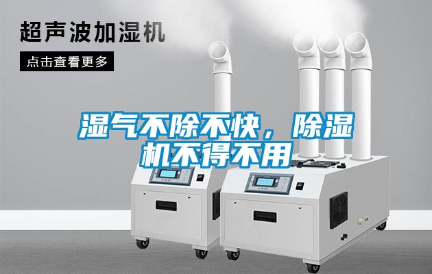 湿气不除不快，草莓视频APP在线观看不得不用