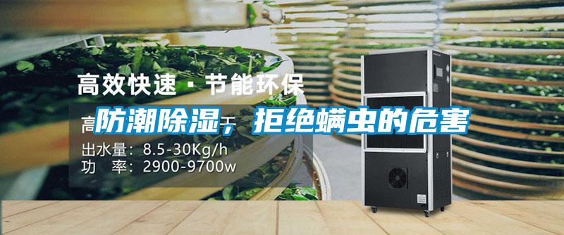 防潮除湿，拒绝螨虫的危害