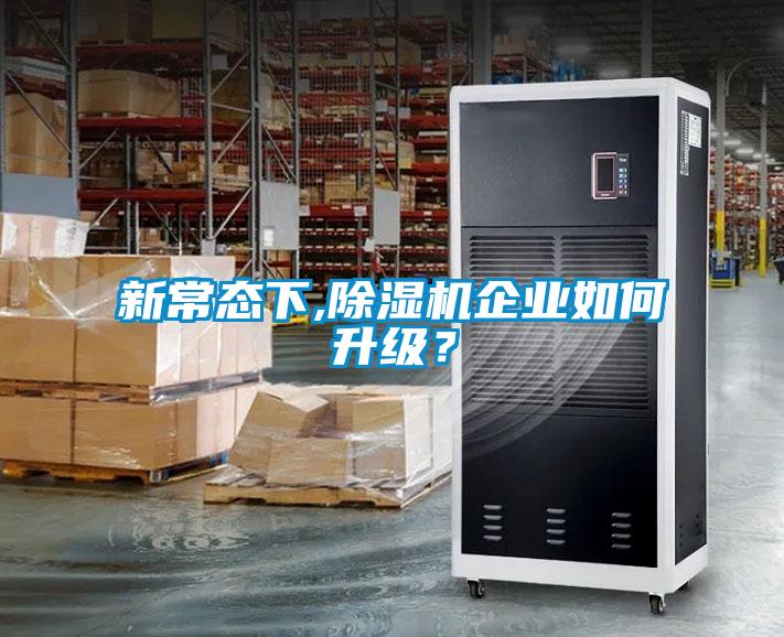 新常态下,草莓视频APP在线观看企业如何升级？