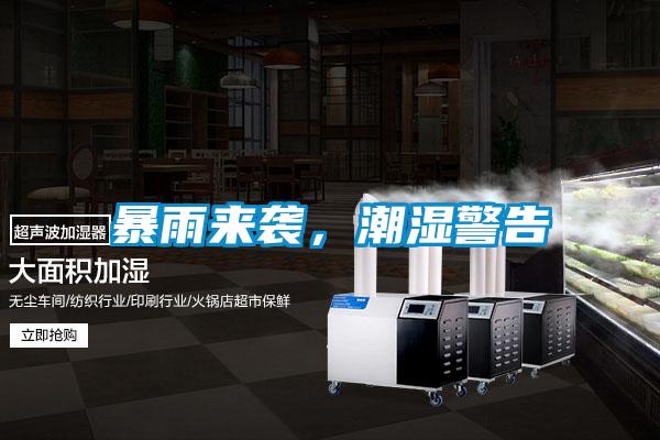 暴雨来袭，潮湿警告