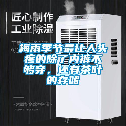 梅雨季节最让人头疼的除了内裤不够穿，还有茶叶的存储