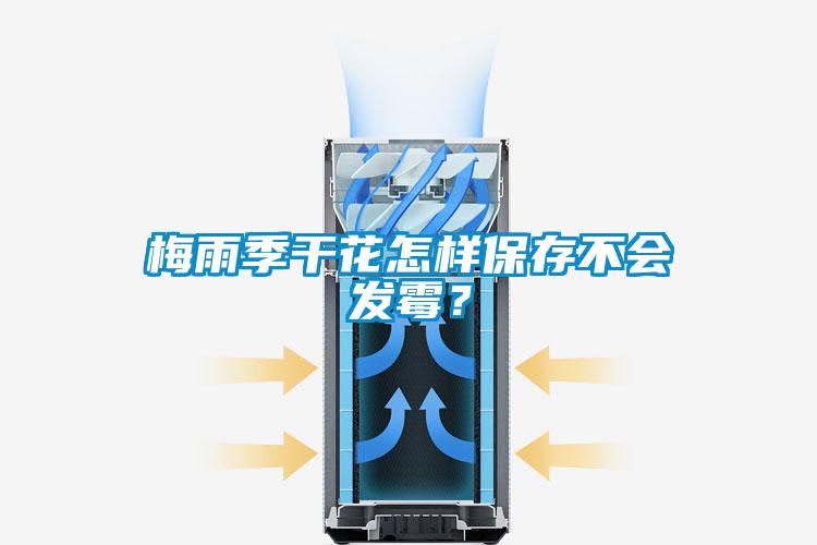 梅雨季干花怎样保存不会发霉？