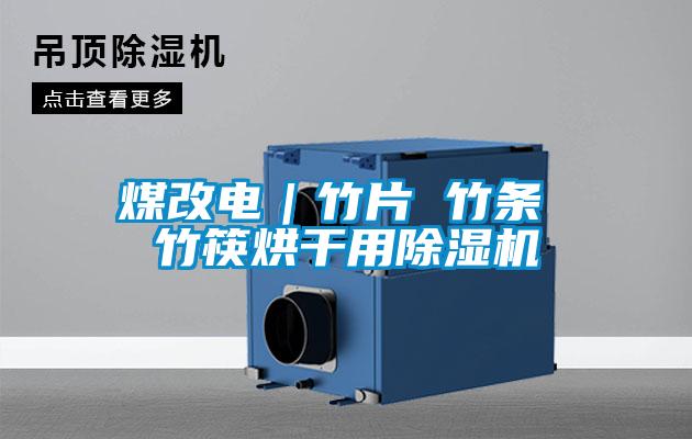 煤改电｜竹片 竹条 竹筷烘干用草莓视频APP在线观看