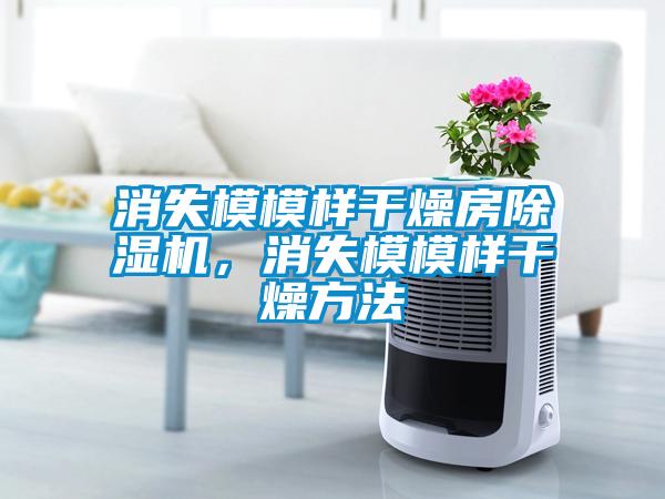 消失模模样干燥房草莓视频APP在线观看，消失模模样干燥方法