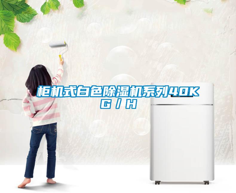 柜机式白色草莓视频APP在线观看系列40KG／H