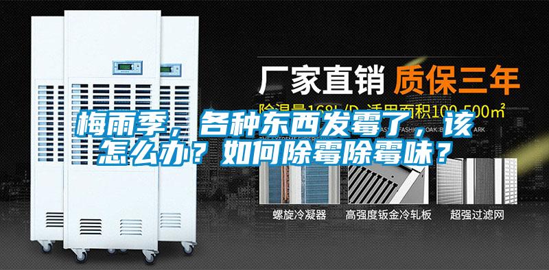 梅雨季，各种东西发霉了，该怎么办？如何除霉除霉味？