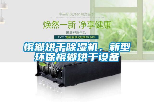 槟榔烘干草莓视频APP在线观看，新型环保槟榔烘干设备
