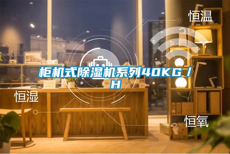 柜机式草莓视频APP在线观看系列40KG／H