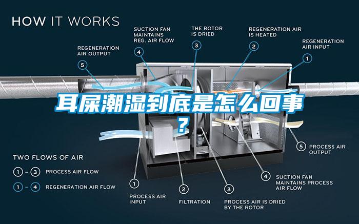 耳屎潮湿到底是怎么回事？