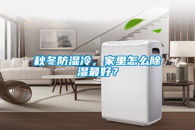 秋冬防湿冷，家里怎么除湿最好？