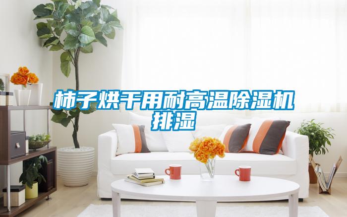 柿子烘干用耐高温草莓视频APP在线观看排湿