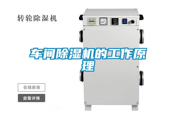 车间草莓视频APP在线观看的工作原理