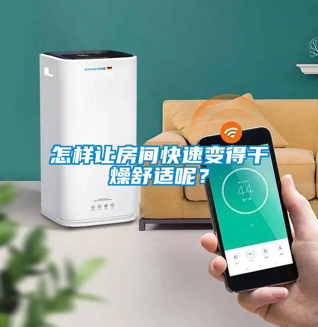 怎样让房间快速变得干燥舒适呢？