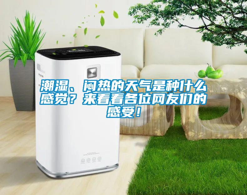 潮湿、闷热的天气是种什么感觉？来看看各位网友们的感受！