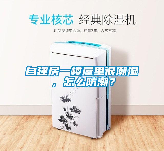 自建房一楼屋里很潮湿，怎么防潮？
