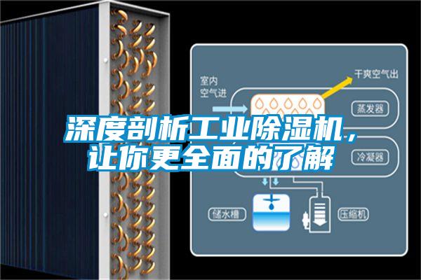 深度剖析工业草莓视频APP在线观看，让你更全面的了解