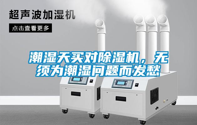 潮湿天买对草莓视频APP在线观看，无须为潮湿问题而发愁