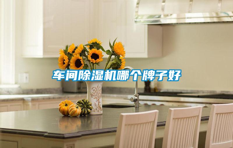 车间草莓视频APP在线观看哪个牌子好