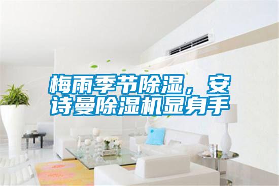 梅雨季节除湿，草莓视频污污版草莓视频APP在线观看显身手