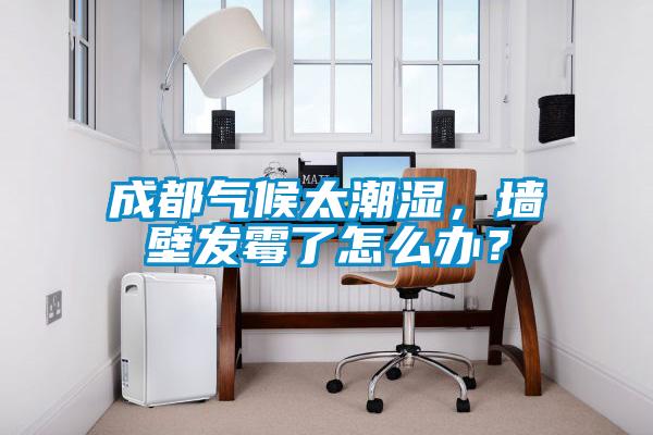 成都气候太潮湿，墙壁发霉了怎么办？
