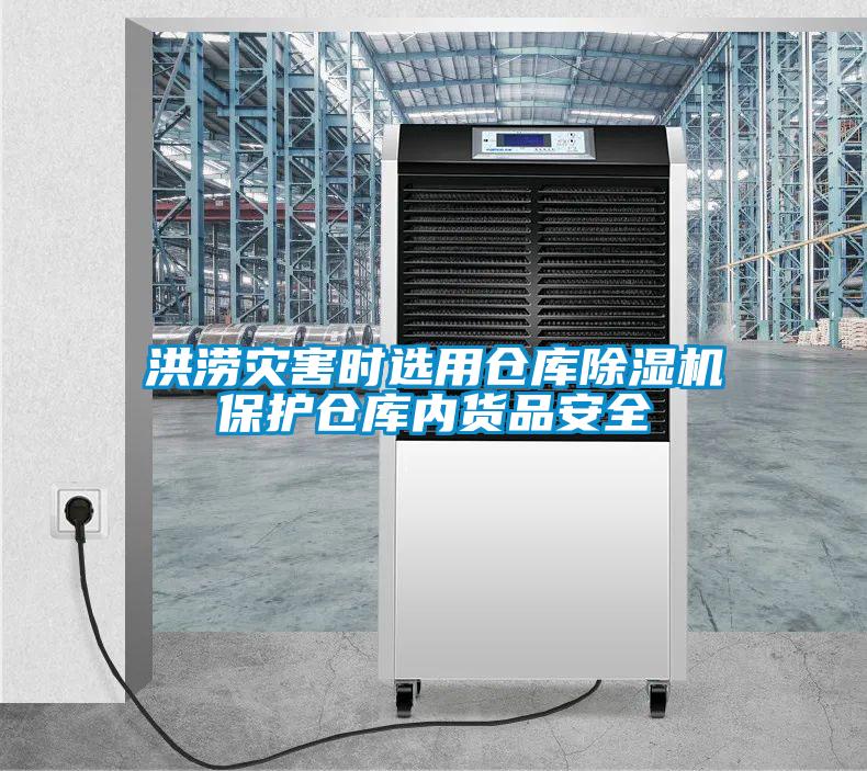 洪涝灾害时选用仓库草莓视频APP在线观看保护仓库内货品安全