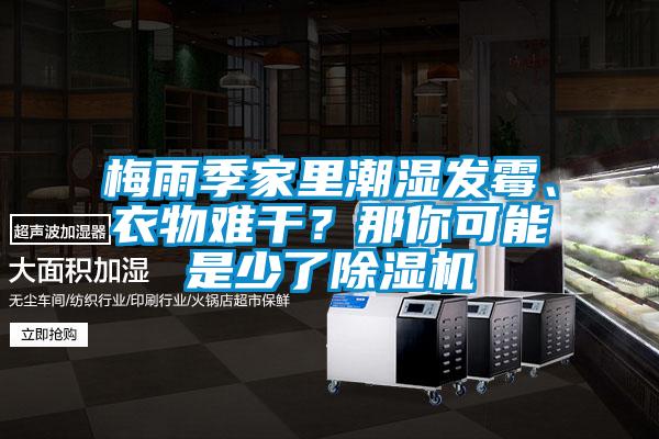 梅雨季家里潮湿发霉、衣物难干？那你可能是少了草莓视频APP在线观看