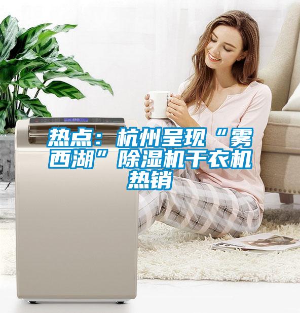 热点：杭州呈现“雾西湖”草莓视频APP在线观看干衣机热销